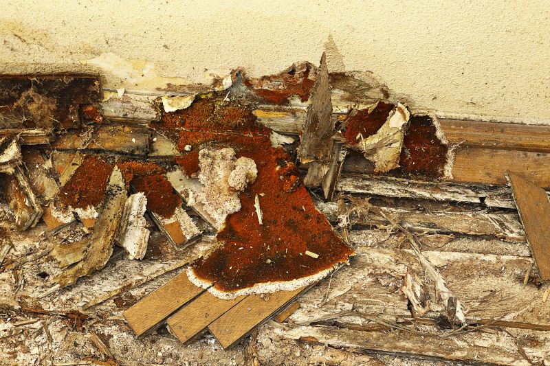 Wood Rot Repair Service