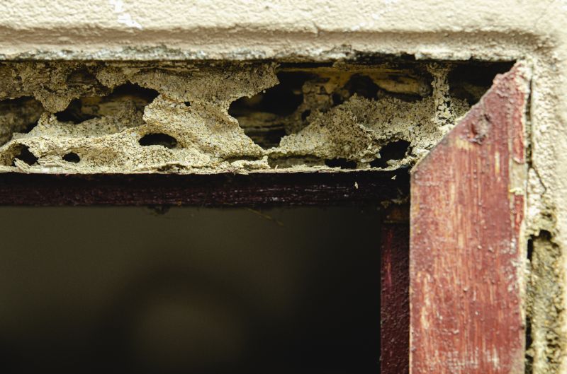 Wood Rot Repair Services Overview