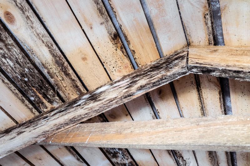 Cost of Wood Rot Repair — Cost of Wood Rot Repair