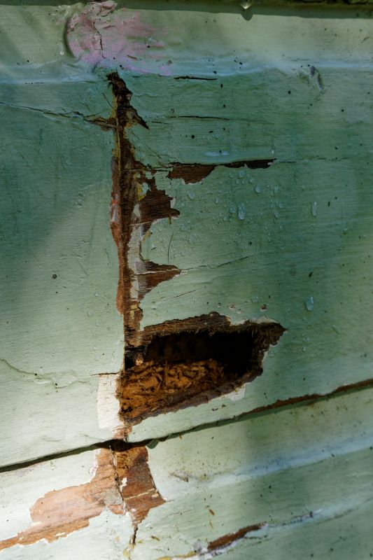 Decayed Wood Replacement in Denver County, CO