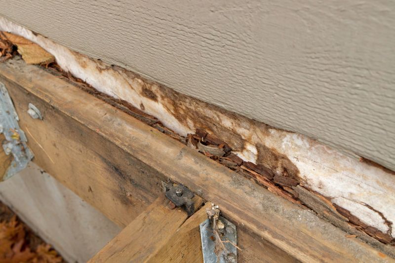 Dry Rot Remediation in Overland Park, KS