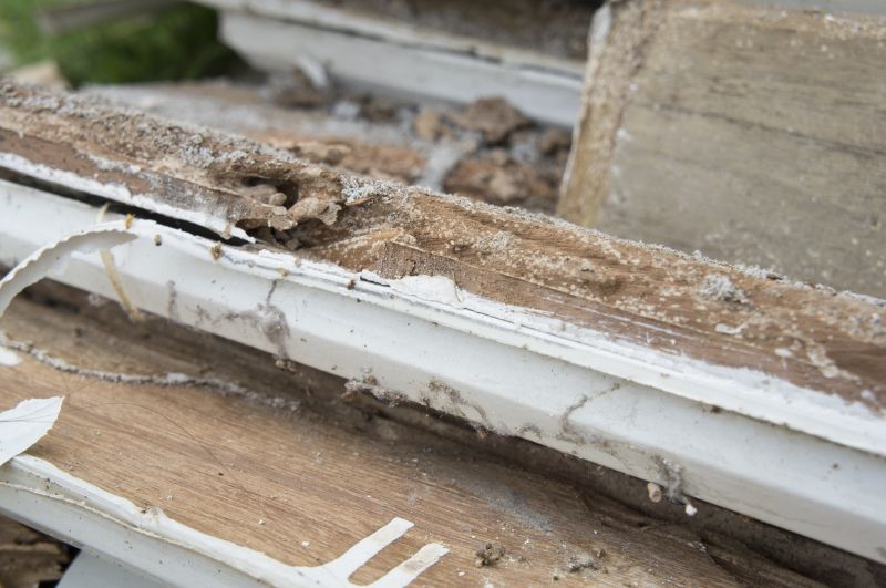 Dry Rot Remediation in Indianapolis, IN