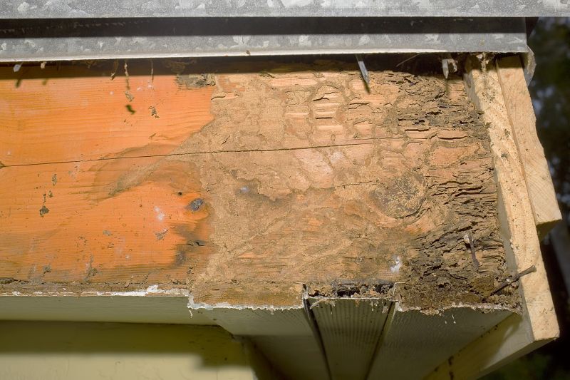 Dry Rot Repair in Kansas City, MO