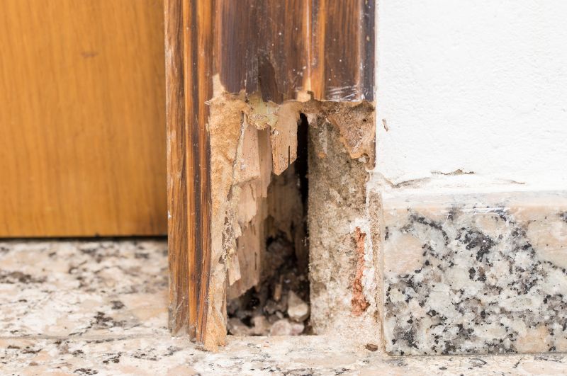 Rot Repair Service in Roswell, GA