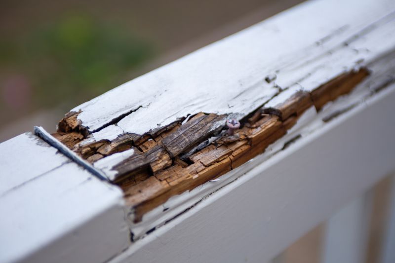 Rot Repair Service in Longmont, CO