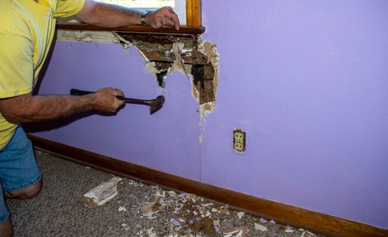 Termite Damage Repair Service in Alpharetta, GA