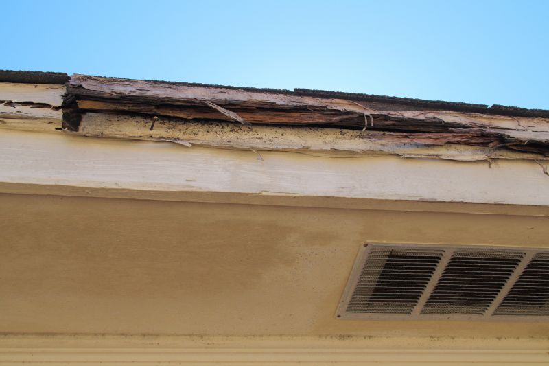 Termite Damage Restoration in Arvada, CO