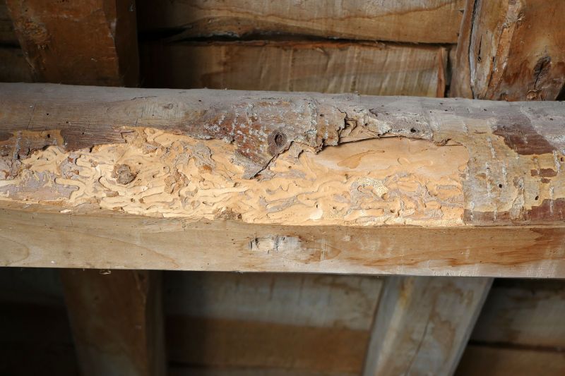 Wood Decay Repair in Littleton, CO
