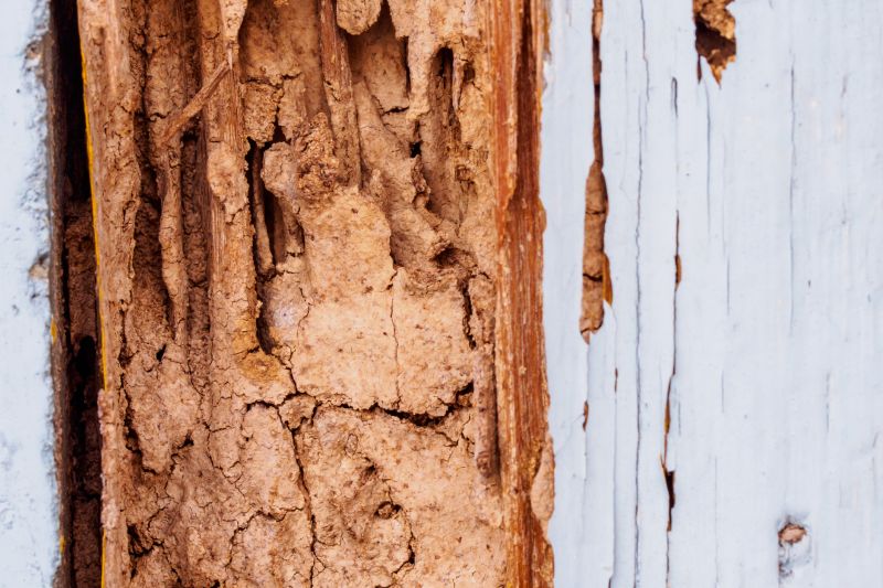 Wood Rot Removal in Littleton, CO