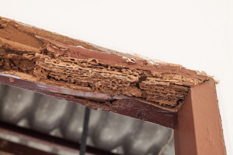 Wood Rot Repair in Indianapolis, IN