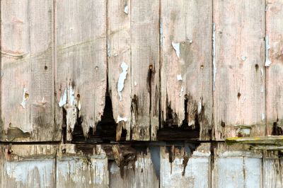 Preservation of aesthetics